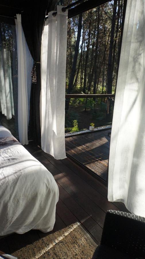 Origne  Les Landines Bed & Breakfast エクステリア 写真