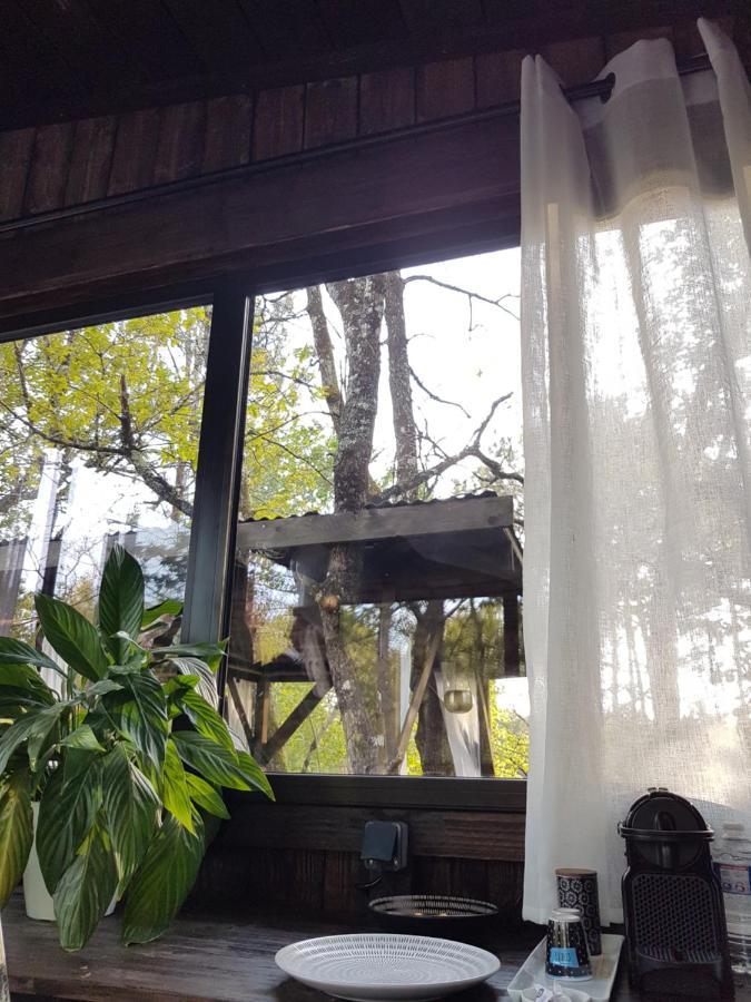 Origne  Les Landines Bed & Breakfast エクステリア 写真